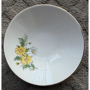 Vintage Fruit/Dessert Bowl Part Of X4011 Collection By Edwin Knowles • Floral